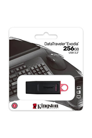 Kingston USB BELLEK 256GB