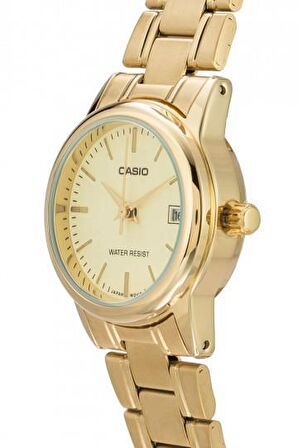 Casio LTP-V002G-9AUDF Kol Saati
