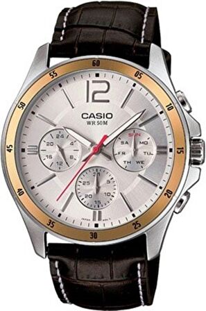 Casio MTP-1374L-7AVDF Erkek Kol Saati