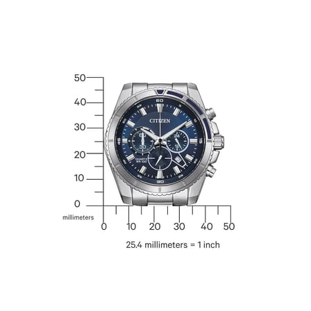 Citizen AN8201-57L Erkek Kol Saati