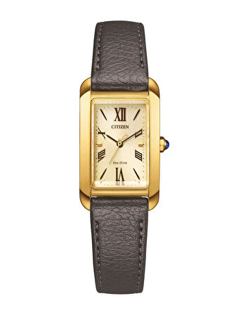 Citizen Eco-Drive EW5622-09P