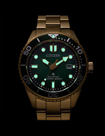 Citizen Promaster Eco-Drive Diver BN0262-59W