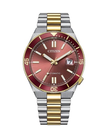 Citizen Nj0234-58x Erkek Kol Saati Metalik