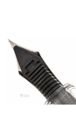 Platinum 3776 Century Nice Pur Demonstrator Dolma Kalem PNB 20000R
