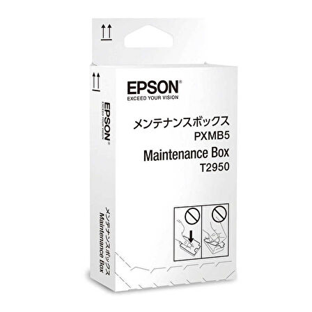 Epson T2950 Orjinal Bakım Kutusu
