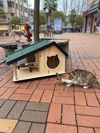 kedi yuvası kedi evi özel üretimi iç ve dış mekan lüks kedi barınağı