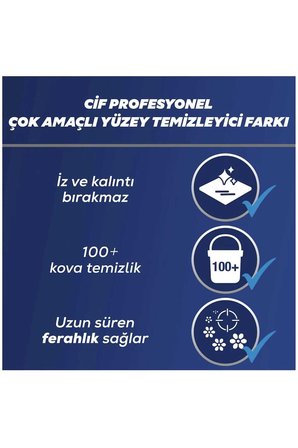Unilever Profesyonel Genel Yüzey Temizleyici Çok Amaçlı Genel Yüzey Temizleyici 5+5lt