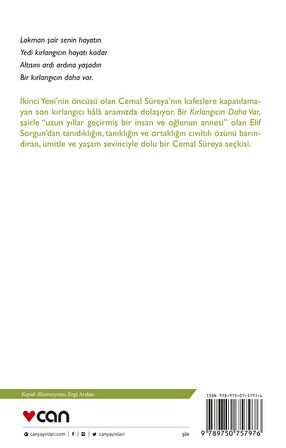 Bir Kırlangıcın Daha Var