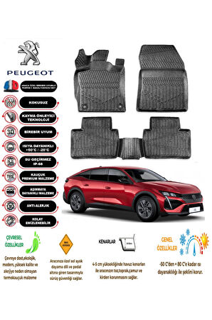  Peugeot 408 2024 4D Havuzlu Paspas 