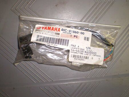 -Yamaha Tmax 500 Swıch