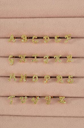 D Harfi Piercing Helix Kıkırdak Lob Tragus
