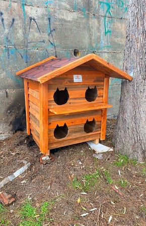 Pati Emlak Ahşap Kedi Evi Dış Mekan Kedi Kulübesi Ahşap