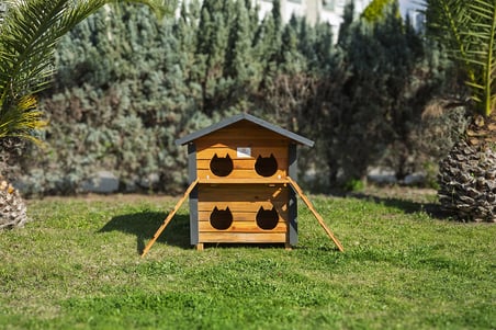 4 Yuvalı Kedi Evi Ahşap Ahşap