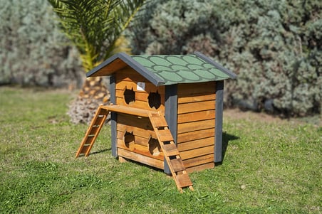 4 Yuvalı Kedi Evi Ahşap Ahşap