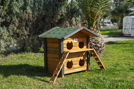 4 Yuvalı Kedi Evi Ahşap Ahşap