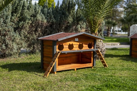 4 Yuvalı Kedi Evi Mamalıklı Ahşap