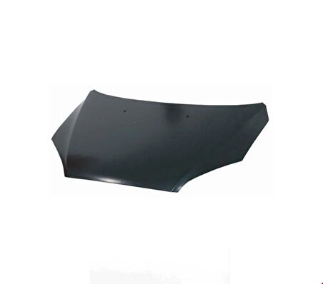 FORD - MOTOR KAPUTU FOCUS 2005- - 4M51A16610AL 49598468