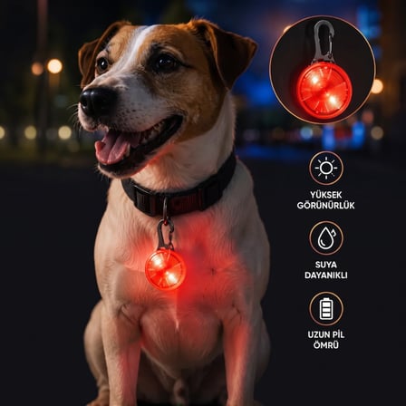 Özel Seri Evcil Hayvan Işıklı LED Tasma Aparatı Köpek Güvenliği Güvenli Yürüyüş Patili Dost