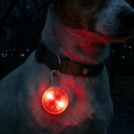 Özel Seri Evcil Hayvan Işıklı LED Tasma Aparatı Köpek Güvenliği Güvenli Yürüyüş Patili Dost