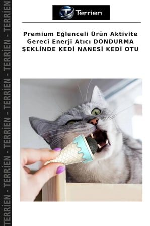 Premium Eğlenceli Ürün Aktivite Gereci Enerji Atıcı DONDURMA ŞEKLİNDE KEDİ NANESİ KEDİ OTU