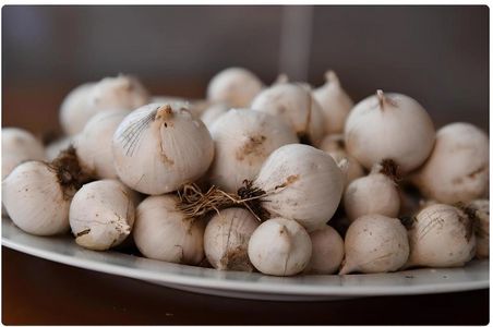 ÖZEL ÜRETİM MUNZUR DAĞ SARIMSAĞI (1KG)