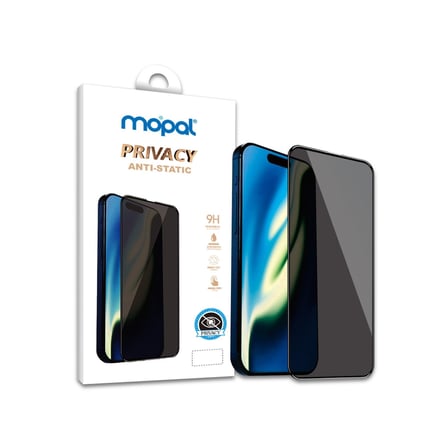Özel Üretim Cep Camı Telefon Aksesuarı Ekran Filtresi Samsung A22 Eco Privacy Temperli Hayalet Cam