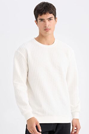 DeFacto Regular Fit Bisiklet Yaka Jakarlı Sweatshirt D5391AX24AUWT32