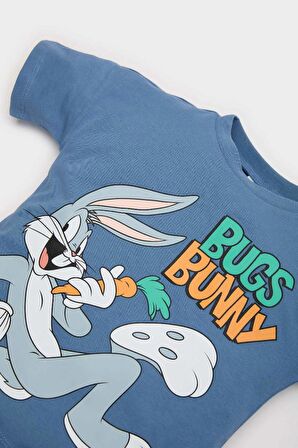 DeFacto Erkek Bebek Looney Tunes 2'li Takım Kısa Kollu Tişört Şort E7693A525SMBE364