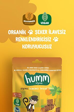 Humm Organic Organik Glutensiz Vegan Muzlu Kek 30g