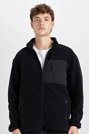 DeFacto Regular Fit Dik Yaka Fermuarlı Cepli Polar Hırka A6892AX24WNBK81