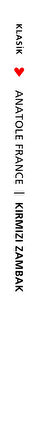 Kırmızı Zambak