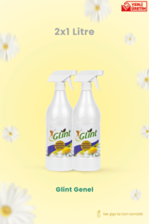 Glint 2 X 1 Lt . Çok Amaçlı Temizleyici Leke Çıkarıcı