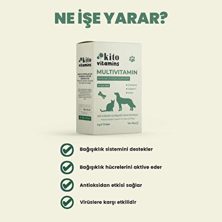 Kito Multivitamin Bağışıklık Sistemi Destekleyici 2g X 15 Saşe