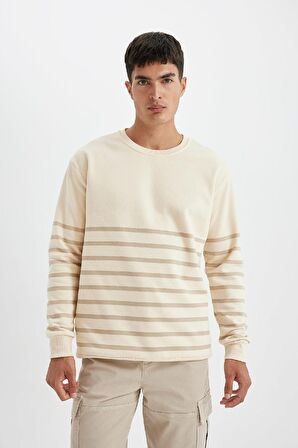 DeFacto Comfort Regular Fit Rahat Kalıp Bisiklet Yaka Çizgili Kalın Sweatshirt D2397AX24AUER42
