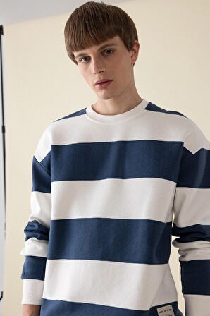 DeFacto Boxy Fit Bisiklet Yaka Çizgili Sweatshirt A9066AX24AUBE88