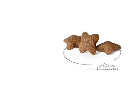 Royal Canin Küçük Irklar için Yetişkin Kuru Köpek Maması 2Kg