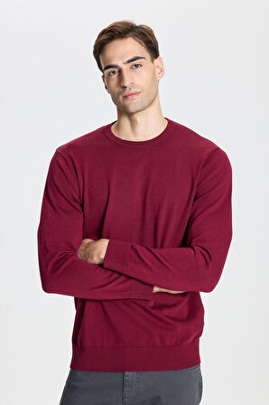 Altınyıldız Classics Bisiklet Yaka Standart Bordo Erkek Kazak 4A4924100001