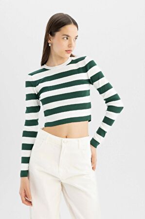 DeFacto Coool Slim Fit Çizgili Bisiklet Yaka Kazak X6888AZ24WNGN311