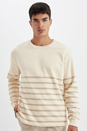 DeFacto Comfort Regular Fit Rahat Kalıp Bisiklet Yaka Çizgili Kalın Sweatshirt D2397AX24AUER42