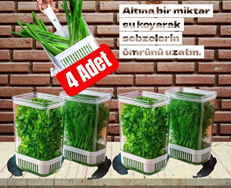 Yeşillik Saklama Kabı 4 Ad 2900ML Maydonoz,dereotu,tere Roka Yeşillik Sebze Kabı