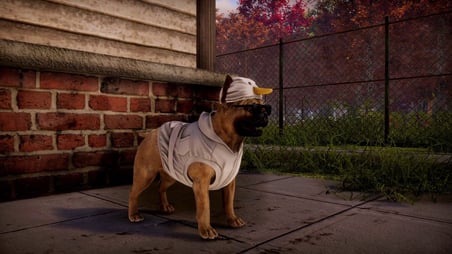 Animal Shelter 2 PC Steam Dijital Oyun Kodu (CD Key)