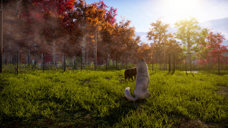 Animal Shelter 2 PC Steam Dijital Oyun Kodu (CD Key)