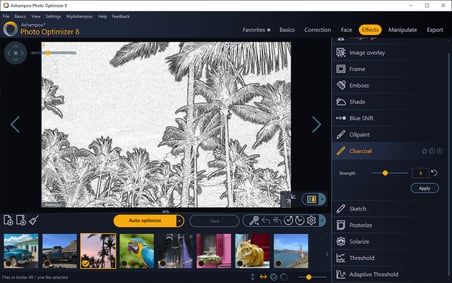 Ashampoo Photo Optimizer 8 Fotoğraf Düzenleme Yazılımı Lisans Anahtarı