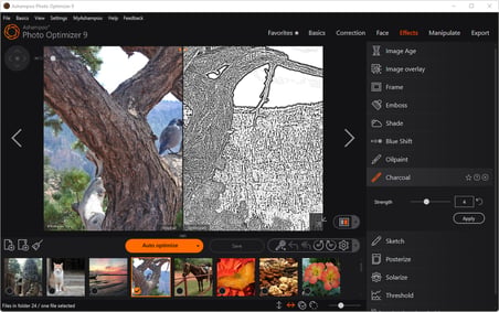 Ashampoo Photo Optimizer 9 Fotoğraf Düzenleme Yazılımı Lisans Anahtarı