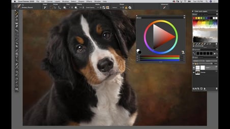 Corel Painter 2020 Dijital Sanat Yazılımı Lisans Anahtarı