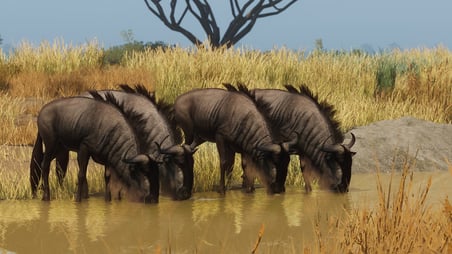 Planet Zoo Grasslands Animal Pack Dijital Genişleme Kodu (DLC)