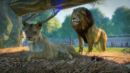 Planet Zoo Deluxe Edition Steam PC Oyun Kodu (CD Key)