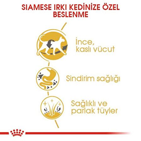 Royal Canin Siyam için Yetişkin Kuru Kedi Maması 2kg