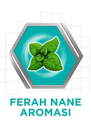 Diş Protez Yapıştırıcı Krem 40 gr Naneli