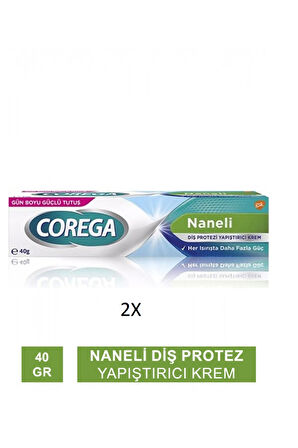 Diş Protezi Yapıştırıcı Krem Naneli 40gr ( 2 adet )